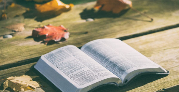 10 Tips to Boost Your Bible Reading