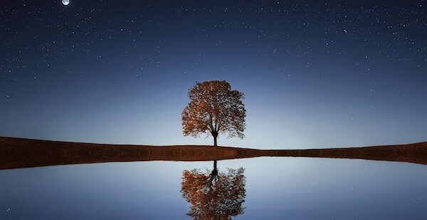 Pain and Purpose: The Self-Evident Truths Revealed by Suffering