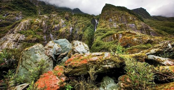 In the Shadow of Sin: How to Respond to Your Failure