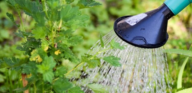 Discipleship Lessons from the Sending of the Twelve