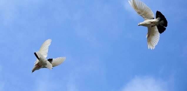 Should I make decisions based on whether I feel peace?