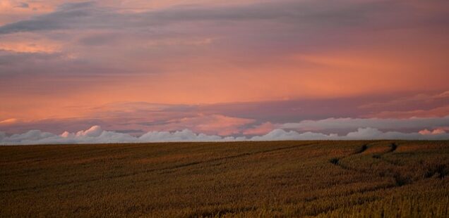 Simple Faith: The One Thing God Requires