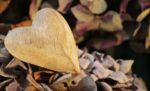 The Immeasurable Significance of a Single Human Heart