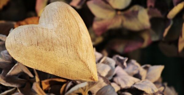 The Immeasurable Significance of a Single Human Heart